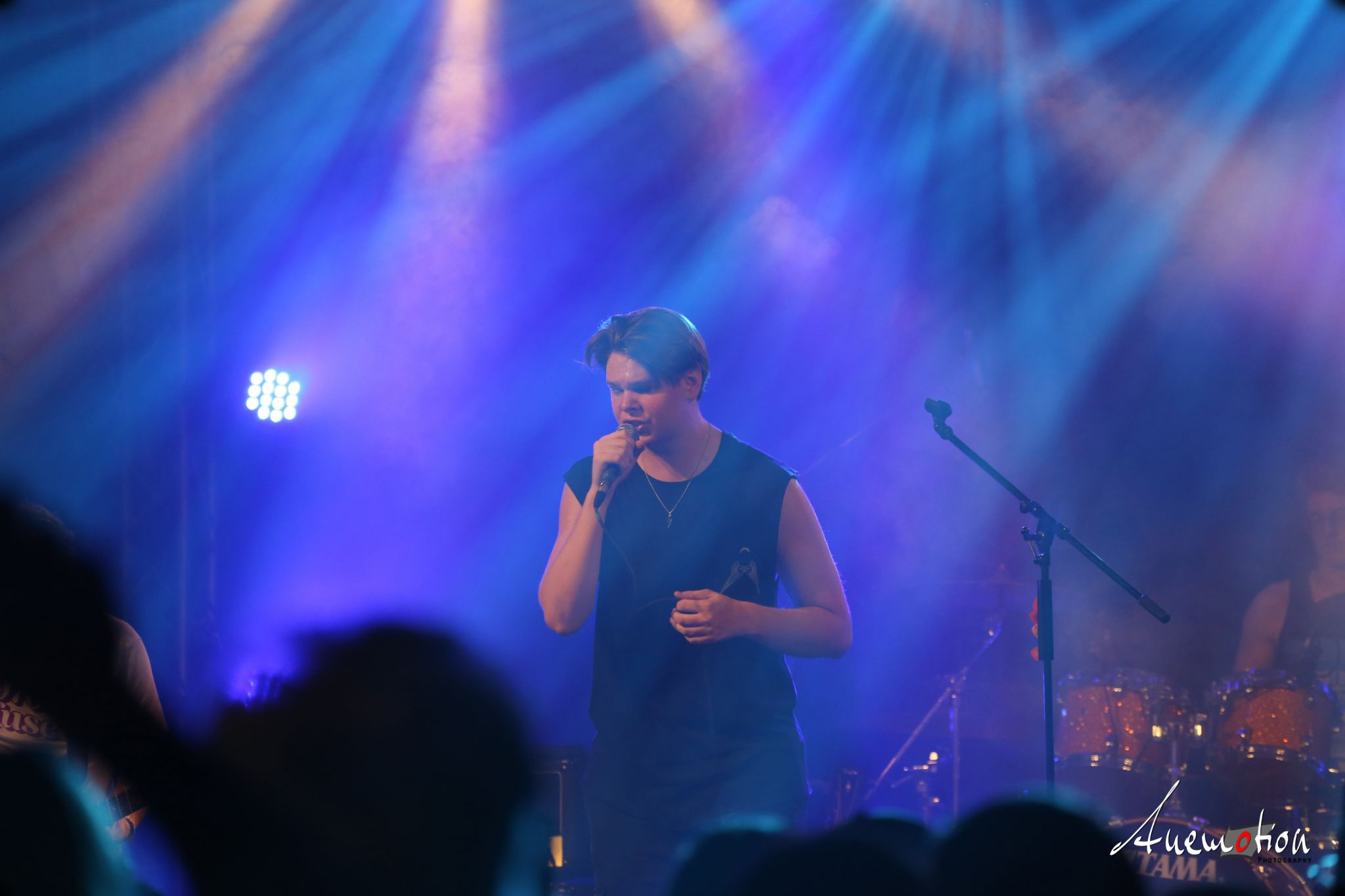 ElephantsFalling (46)